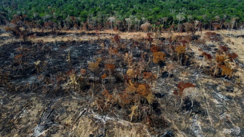 Brazilian Amazon deforestation falls, but up 60% under Bolsonaro Brazilian Amazon deforestation falls, but up 60% under Bolsonaro