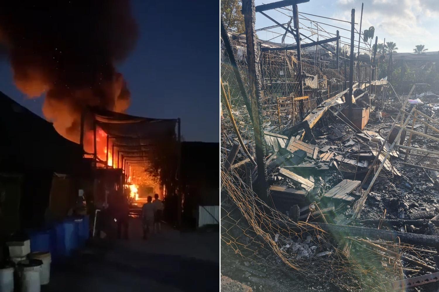 <p>Images of a fire that was raging at Terrascapes plant nursery (left) on July 20, 2022 and its aftermath (right).</p>
