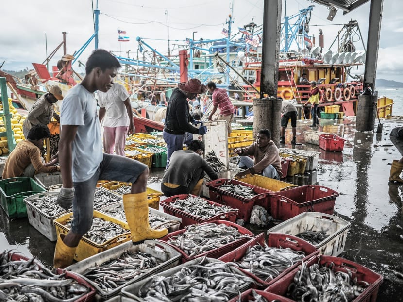 The price of fresh fish in Kota Kinabalu averages around RM10 (S$3.20) to RM25 per kilo, which makes it a luxury item for many families. Photo: AFP