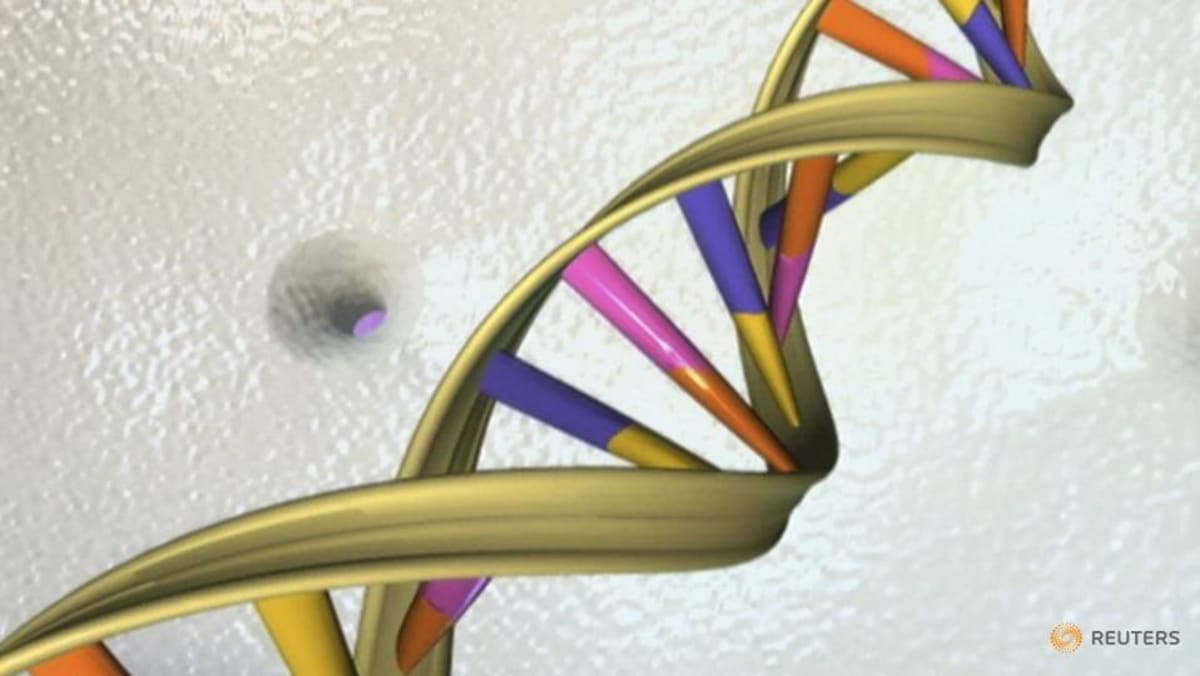 Kementerian Kesehatan akan mengembangkan pedoman bagi perusahaan yang menyediakan pengujian genetik non-klinis