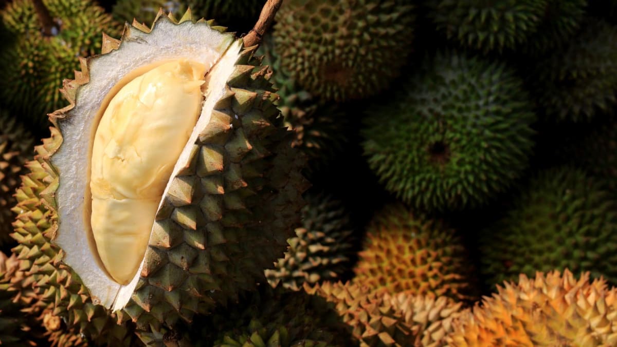 Petani durian Thailand bersiap menghadapi kontrol impor ketat yang diterapkan Tiongkok dalam kebijakan nihil COVID-19