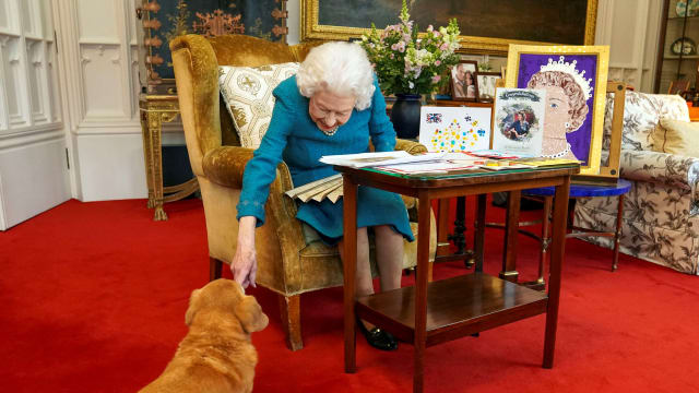 英女王庆登基70周年 爱犬Candy惊喜现身