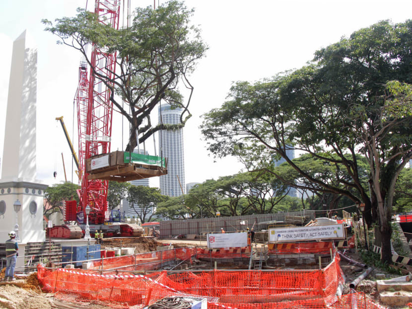 A rain tree being planted in front of Victoria Theatre and Concert Hall yesterday. Photo: Low Wei Xin