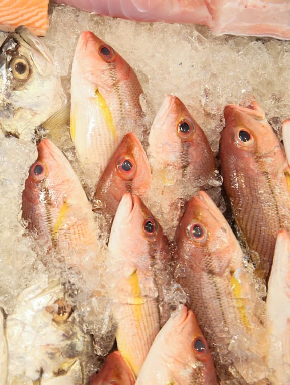 'Never seen prices like this': Fish, chicken stallholders fret over passing on higher costs to customers 'Never seen prices like this': Fish, chicken stallholders fret over passing on higher costs to customers