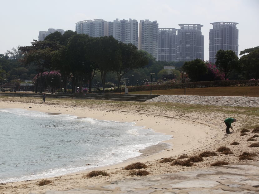 Prime Minister Lee Hsien Loong said that when sea levels rise in future, a long stretch on the east coast from Changi to the city will increasingly be at risk. Prime Minister Lee Hsien Loong said that when sea levels rise in future, a long stretch on the east coast from Changi to the city will increasingly be at risk.