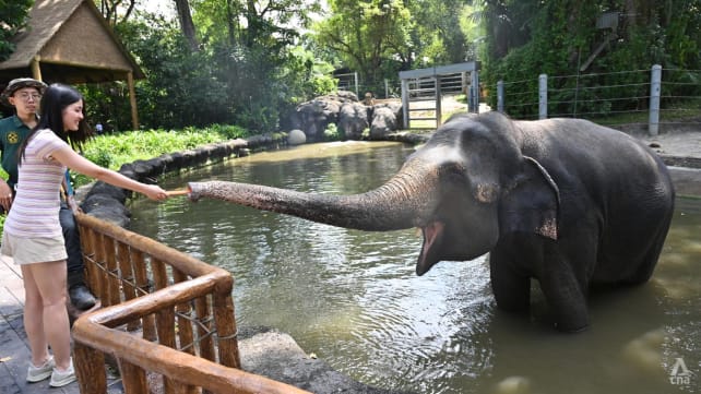 We went 'glamping in the wild' at the Singapore Zoo – here’s what you can expect