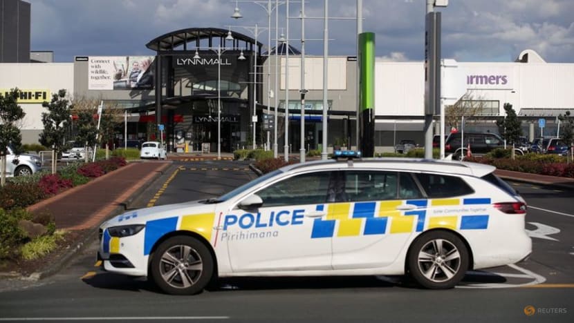 New Zealand outlaws terror attack planning after IS-linked stabbing