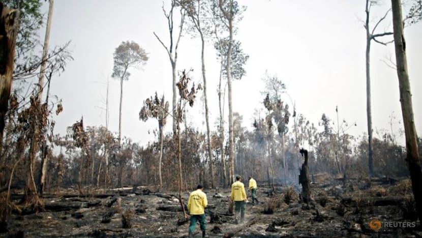Amazon hurtles toward death spiral as deforestation jumps in 2020 Amazon hurtles toward death spiral as deforestation jumps in 2020