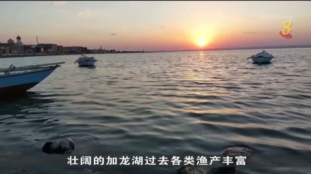 开罗附近湖泊污染严重 渔民被迫改行