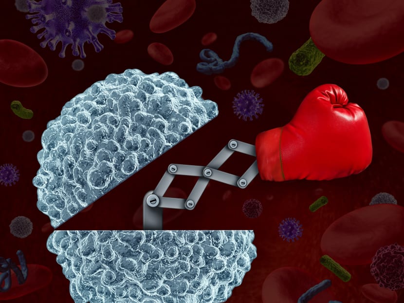 Explainer: How the human body fights infection and how you can boost your immunity Explainer: How the human body fights infection and how you can boost your immunity