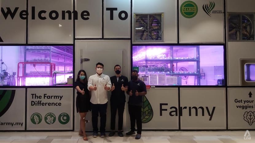 Growing vegetables in a mall, this Malaysian start-up wants to shake up the traditional food supply chain