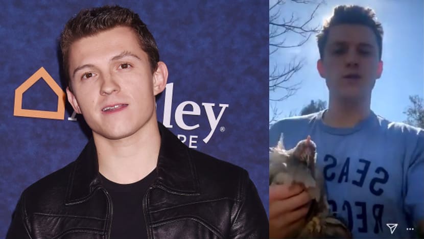 Tom Holland Rears 3 Chickens So That He Doesn't Have To Buy Eggs From Supermarkets