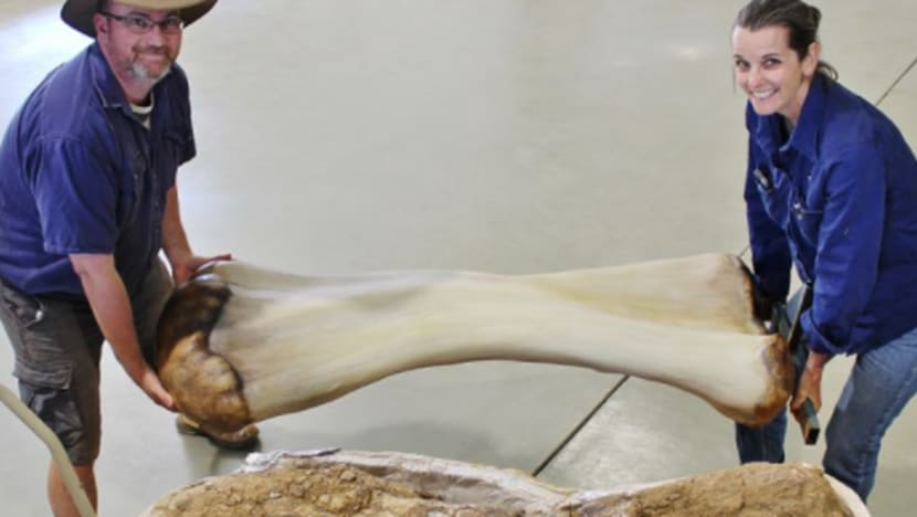ஆகப் பெரிய டைனசோர் வகைகளில் ஒன்று ஆஸ்திரேலியாவில் கண்டுபிடிப்பு