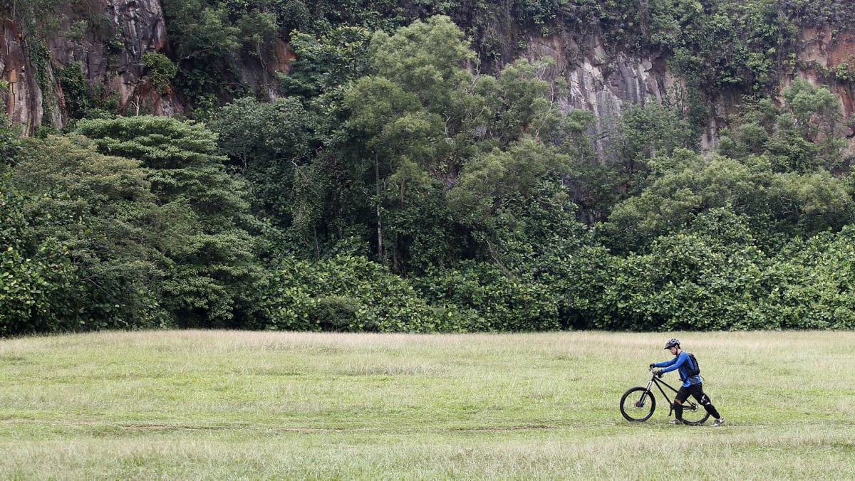 A sense of sadness concern with looming closure of Bukit Timah Nature Reserve TODAY