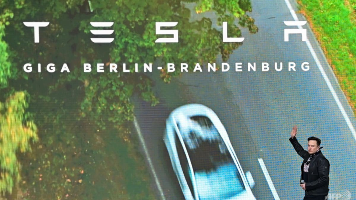 Musk pushes the boundaries in Tesla autonomous marketing campaign
