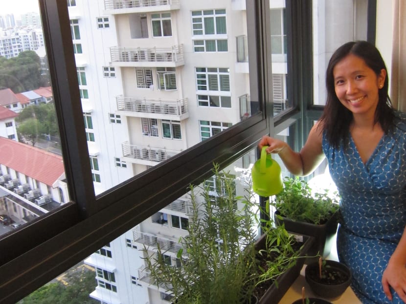 From garden city to urban farmland