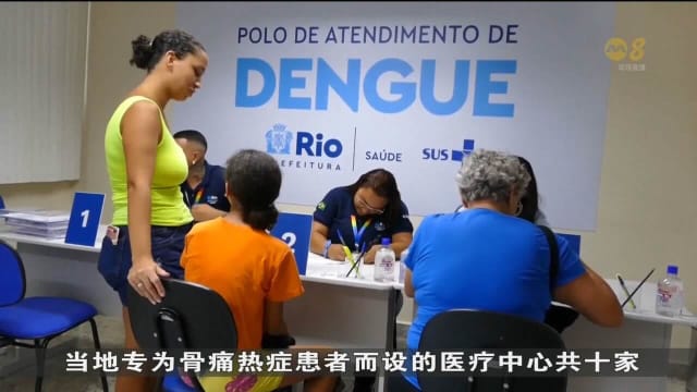 巴西暴发骨痛热症疫情 2024年初以来累积逾1万起病例