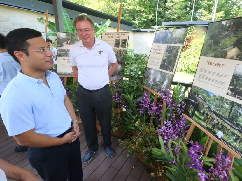 Gallery: More enhancements to National Orchid Garden underway