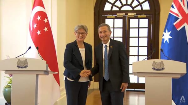 Singapore and Australia exploring 'ambitious' green economy agreement: Vivian Balakrishnan