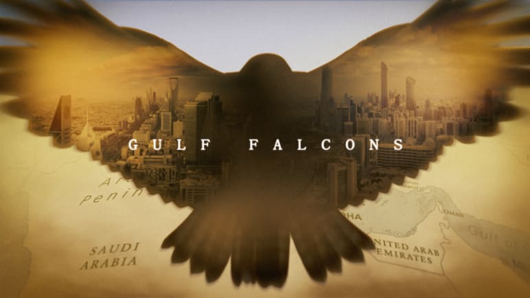 Gulf Falcons