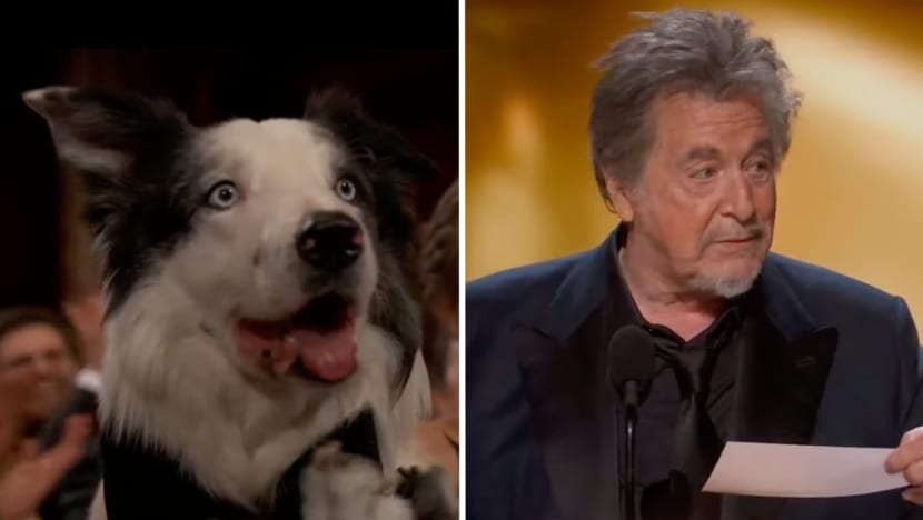 240311 yt oscars