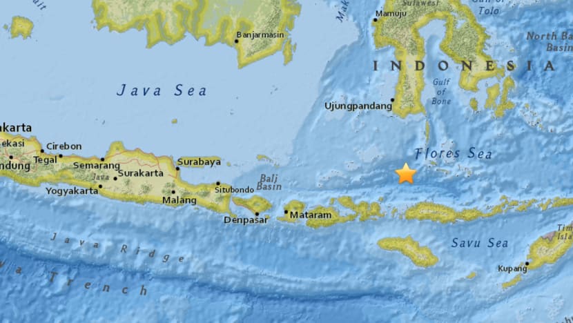 Magnitude-6.6 quake hits north-east of Raba, Indonesia: USGS Magnitude-6.6 quake hits north-east of Raba, Indonesia: USGS