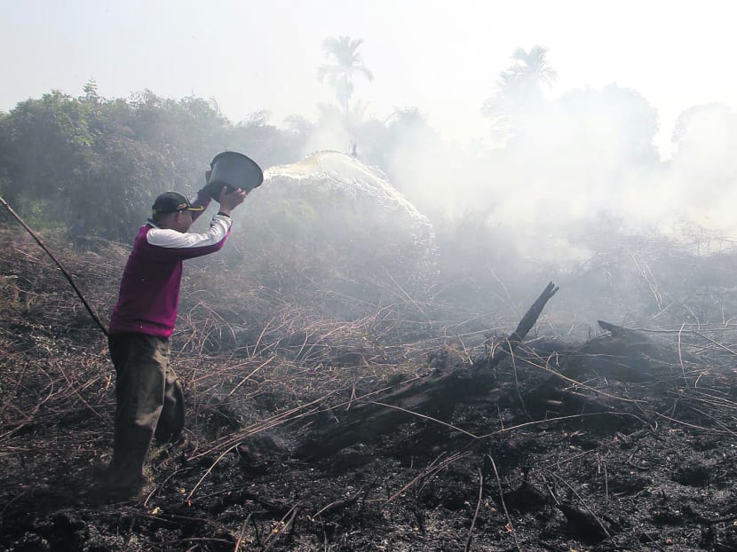 Mr Mohammad Azaki attempts to put out a fire on a patch of private land across from his house in Parit Indah, Pekanbaru. Photo: Ooi Boon Keong