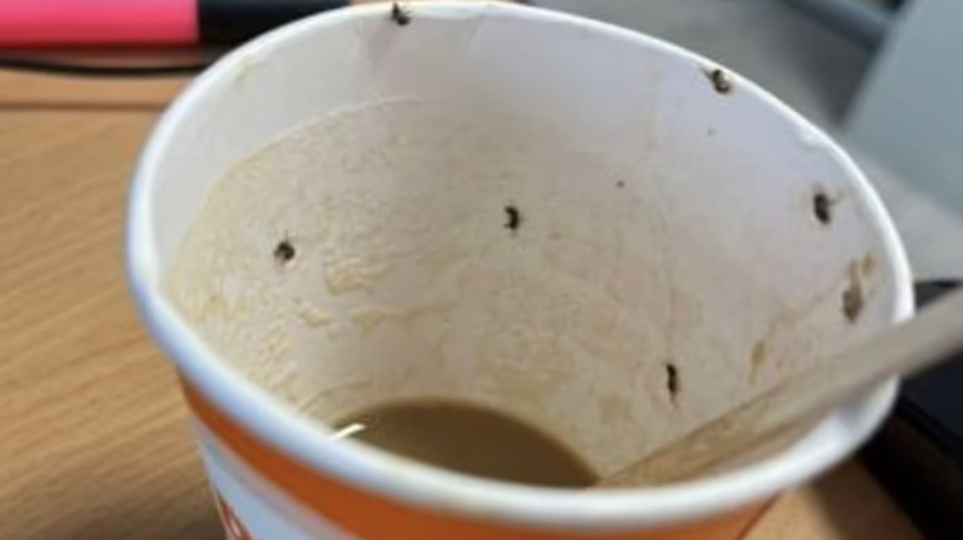 喝下藏有昆虫咖啡 西班牙女子加护病房待36小时 