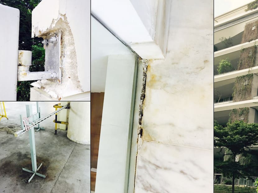 Top left: Concrete has fallen off the side gate of a condominium less than a year after TOP. It was left unrepaired for over six months. Bottom left: A carpark in Orchard Road that could do with higher standards of property management and maintenance. Middle: A glass wall that has shifted more than 1cm away from the marble flooring and opened up a crevice, less than 2 years after the house was completed. Stain marks suggest extensive moisture within the concrete walls and floor. Right: Dead creepers on a garden wall of a condominium that was completed three years ago. Many properties win environmental awards for their designs even before construction has begun, but without easy access to maintenance and housekeeping, the external beauty will be short-lived. Photo: Century 21