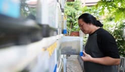 Manfaatkan lahan sempit, warga Singapura beternak kepiting di laci susun plastik
