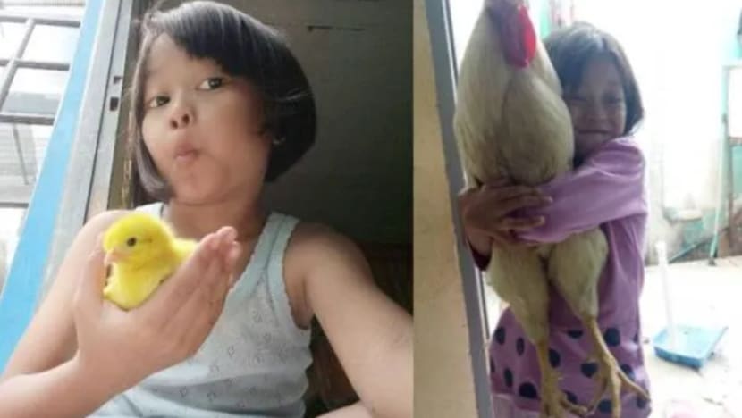 Anak ayam jadi 'penawar' kanak-kanak hakis ketagihan peranti digital Anak ayam jadi 'penawar' kanak-kanak hakis ketagihan peranti digital