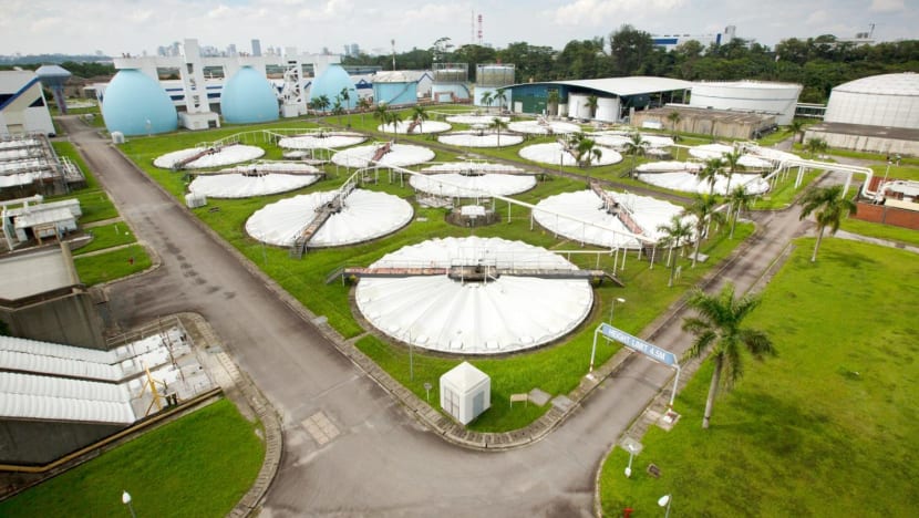 Two more workplace fatalities, including worker hit by forklift at Kranji Water Reclamation Plant Two more workplace fatalities, including worker hit by forklift at Kranji Water Reclamation Plant