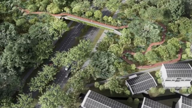 公园局将在武吉知马路上段 新建生态人行通道
