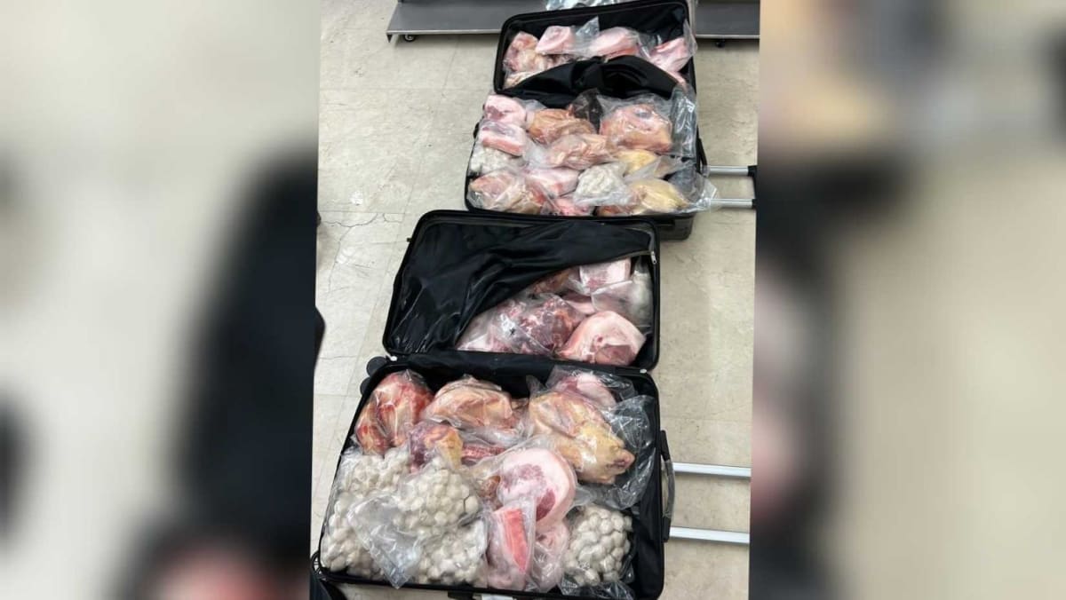 man-fined-susd17-500-for-illegally-importing-more-than-200kg-of-meat-into-singapore