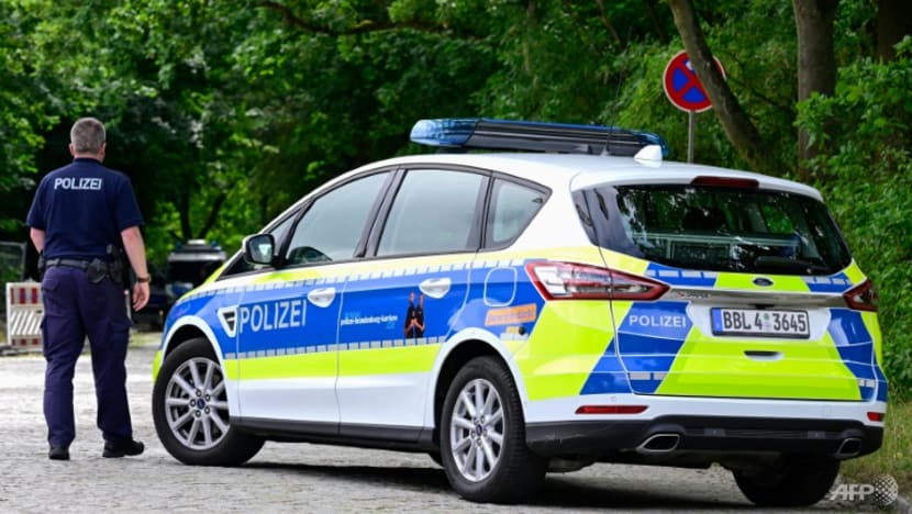 All boar, no roar: 'Lioness' search near Berlin ends, wild pig suspected