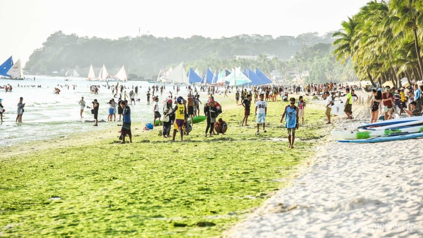 Local tears, rotting filth and a green tide: How Boracay will get clean again Local tears, rotting filth and a green tide: How Boracay will get clean again