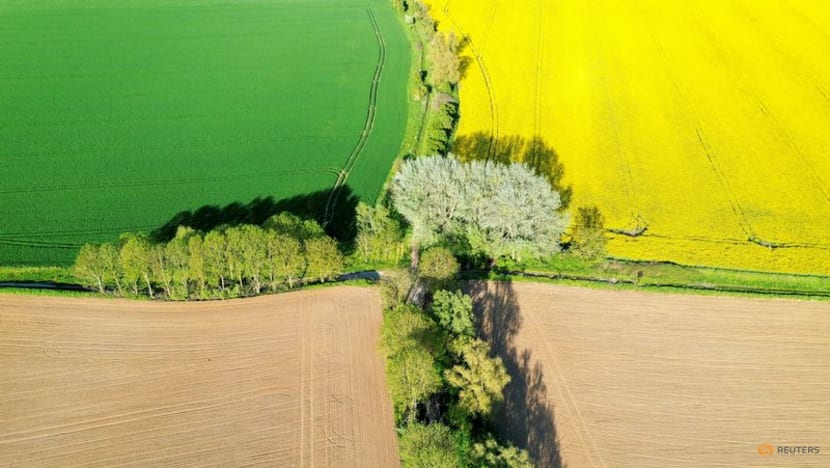 'Now or never': Only severe emissions cuts will avoid climate extremes, says UN report 'Now or never': Only severe emissions cuts will avoid climate extremes, says UN report