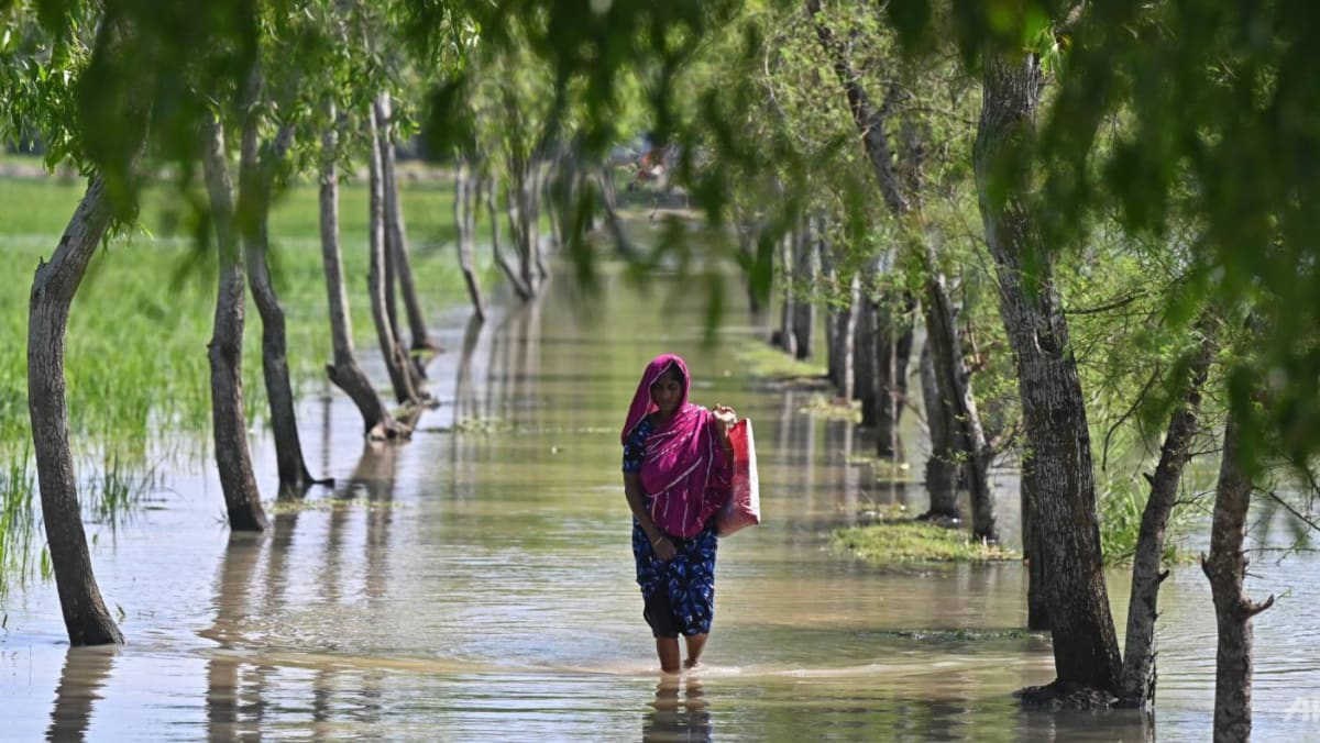24 orang tewas, jutaan orang mencari perlindungan saat Topan Sitrang melanda Bangladesh