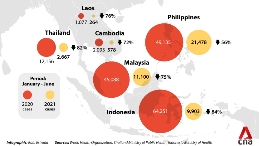 Addressing the Dengue Crisis in Southeast Asia: Insights from Prof