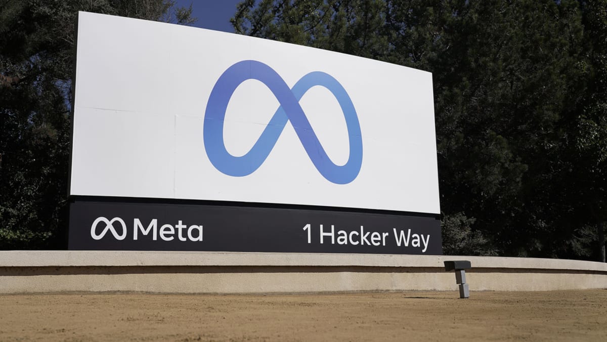 Why did Facebook parent Meta's stock plunge by more than US$200 billion in a day?