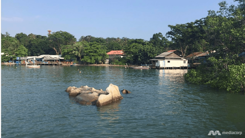 No anomalies in Singapore's air and water quality, say authorities amid chemical poisoning in Pasir Gudang No anomalies in Singapore's air and water quality, say authorities amid chemical poisoning in Pasir Gudang