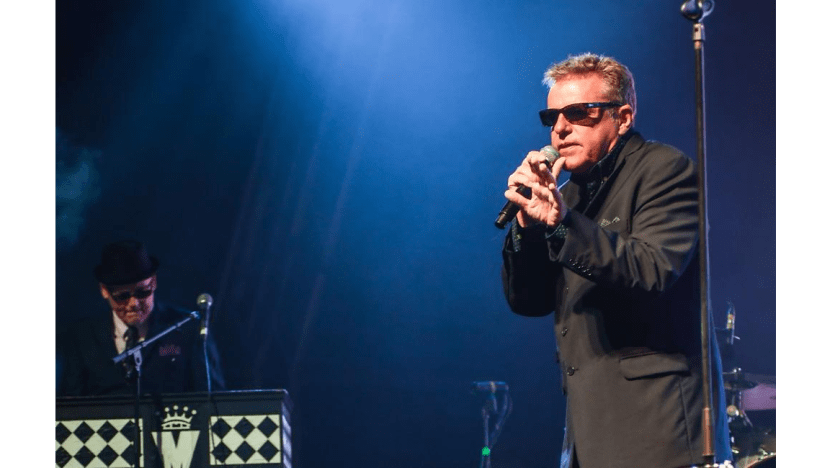 Madness go large for 40th anniversary with outdoor gigs and book