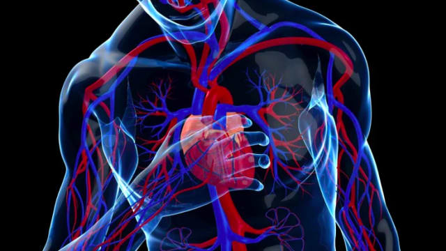 杜克-国大医学院研发干细胞疗法 有望为心脏衰竭病人带来福音
