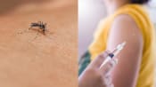 Commentary: Why Singapore needs a dengue vaccine