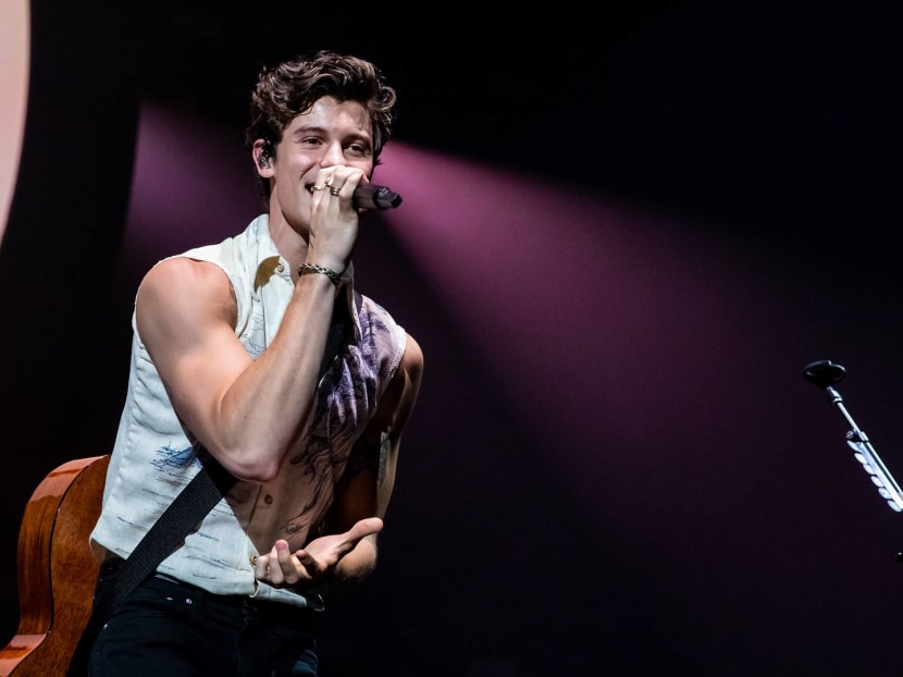 He's Taken, But Shawn Mendes Shows That He's The Perfect Candidate