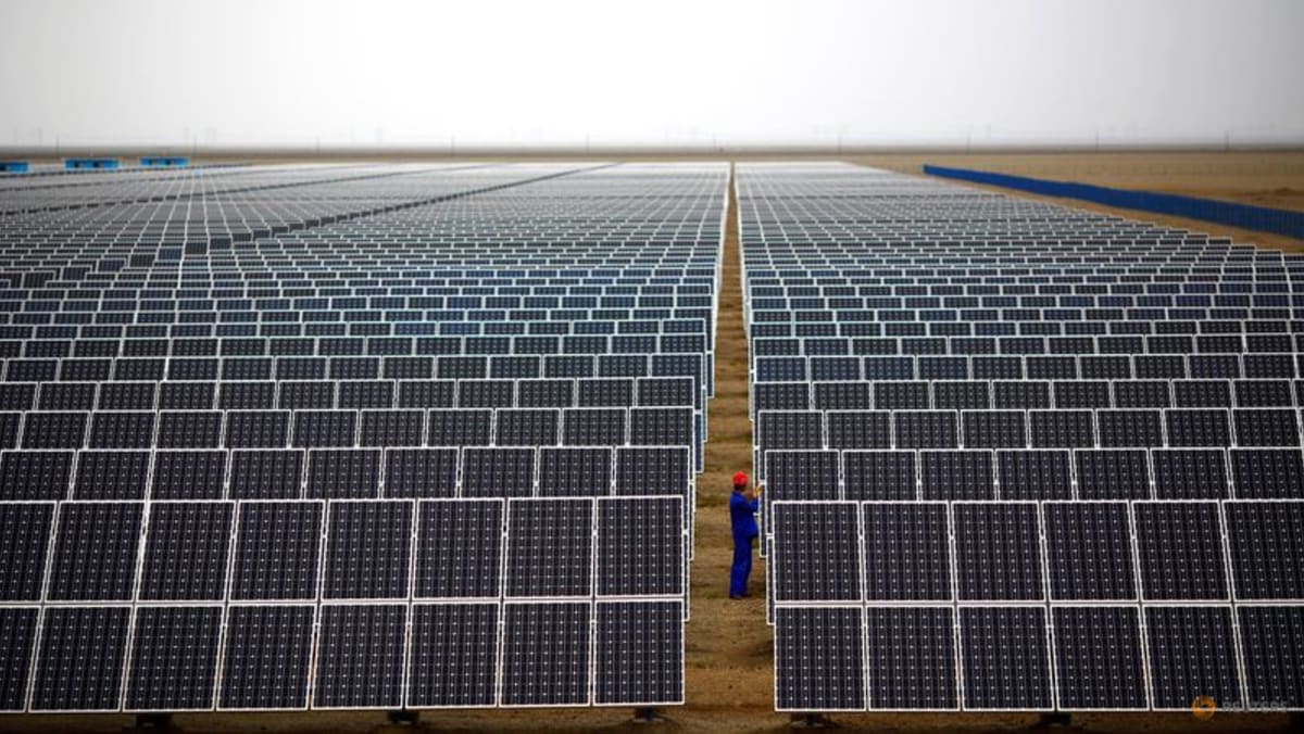 US releases a third of electronics detained under China forced labour law, data shows