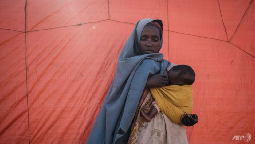 Famine looms in Horn of Africa after four seasons of poor rains: Agencies Famine looms in Horn of Africa after four seasons of poor rains: Agencies
