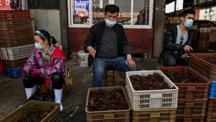 WHO urges halt to sale of live wild mammals in food markets WHO urges halt to sale of live wild mammals in food markets