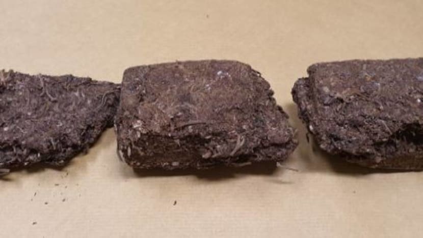 14-year-old among 122 people arrested in islandwide drug bust 14-year-old among 122 people arrested in islandwide drug bust