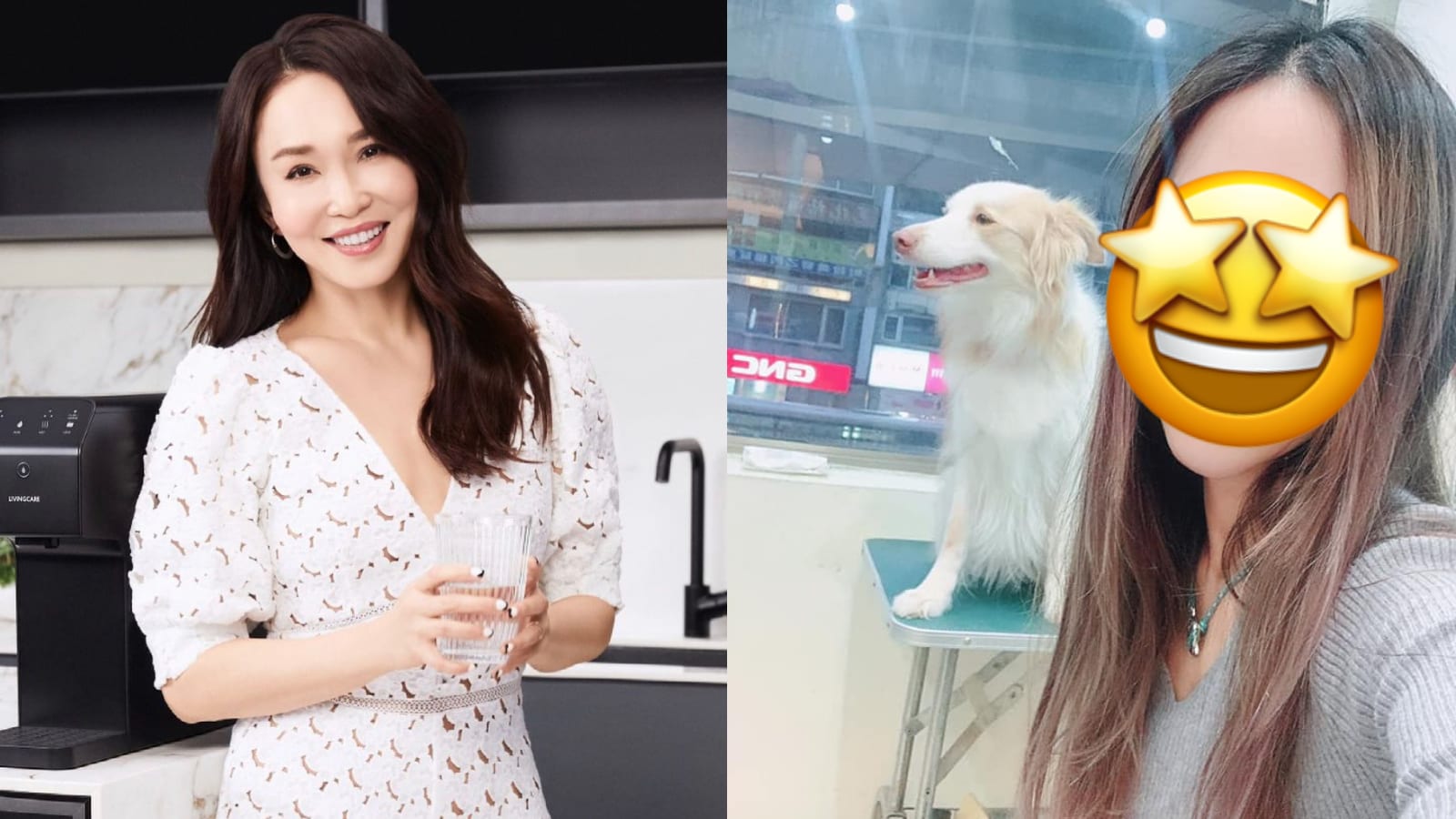 Taiwanese Professor, Who's Said To Look Like Fann Wong, Urges Public Not To Forget About Helping Stray Animals During COVID-19 Taiwanese Professor, Who's Said To Look Like Fann Wong, Urges Public Not To Forget About Helping Stray Animals During COVID-19